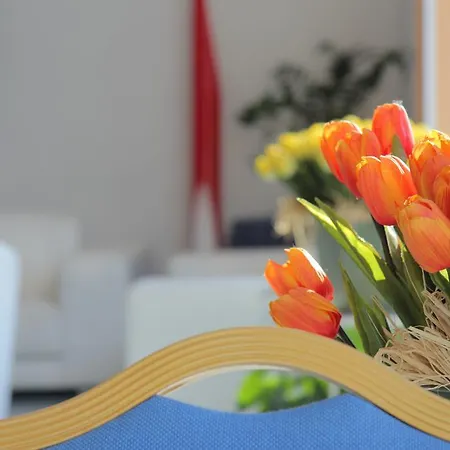 Massimo Hotel Cesenatico