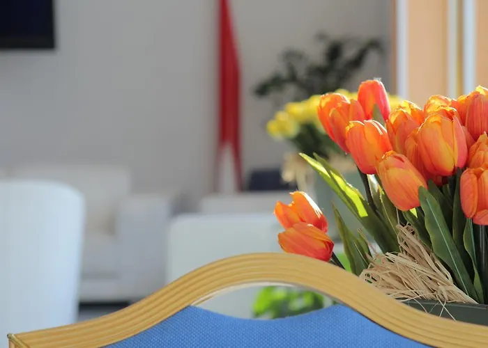 Massimo Hotel Cesenatico